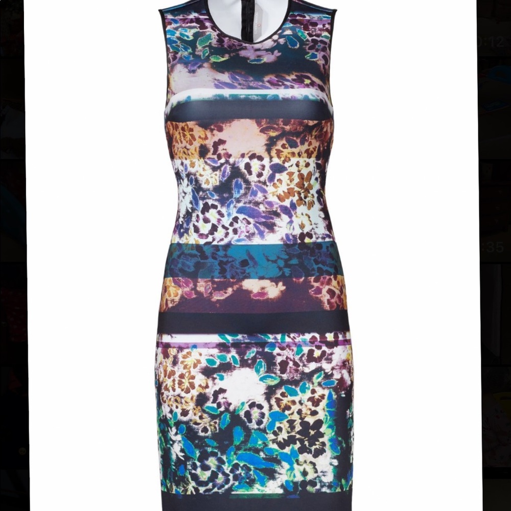 Clover canyon floral dress